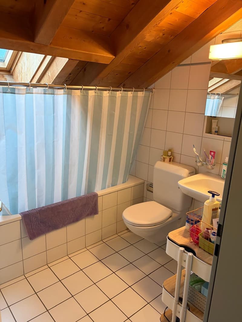 Charmante 2.5-Zimmer-Dachwohnung mit Balkon in Azmoos (7)