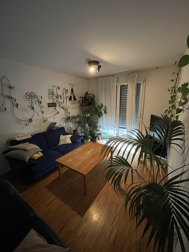 Room in a shared flat, 8050 Zürich (4)
