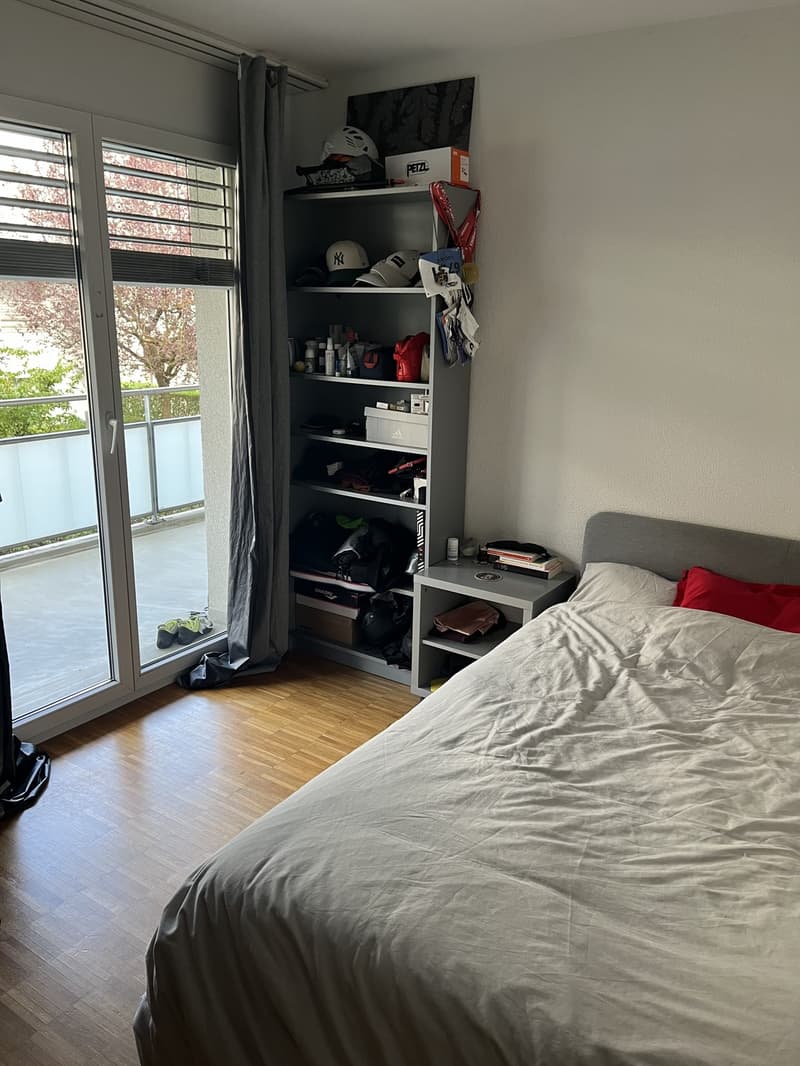 Room in a shared flat, 8050 Zürich (1)