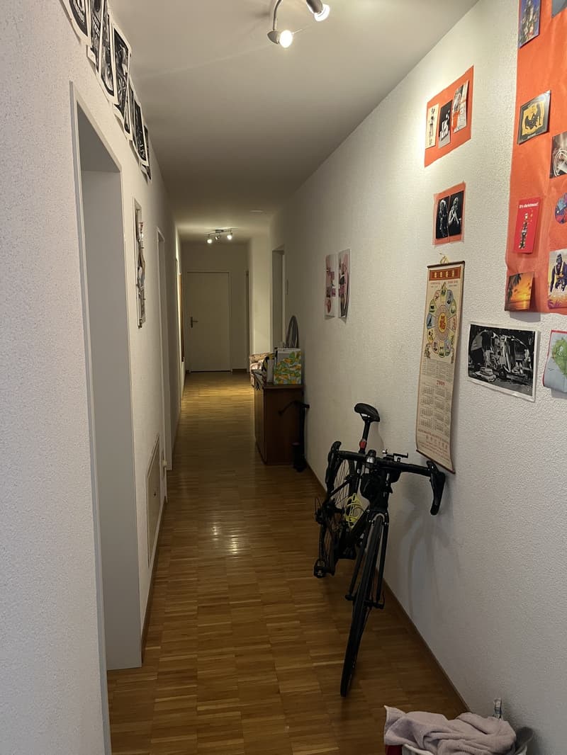 Room in a shared flat, 8050 Zürich (3)
