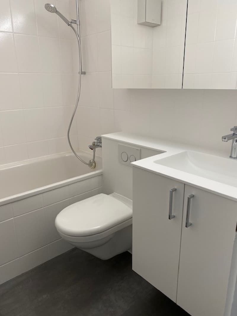 Nachmieter gesucht per 1. Oktober in einer Moderne 2-Zimmer-Wohnung, 3. OG, 50 m2 (1)
