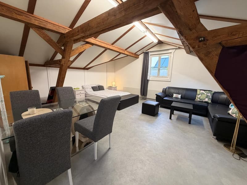 Möbliertes Zimmer in Altdorf CHF 795 inkl. NK & Internet ab Mitte Oktober (3)