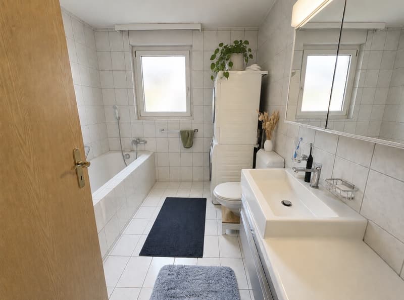 Helle 2.5-Zimmer-Wohnung mit grossem Balkon  Haustiere willkommen (7)