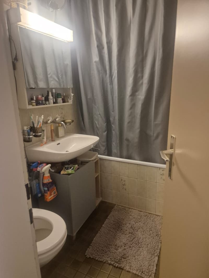 befristete 3 Zimmer Wohnung (5)