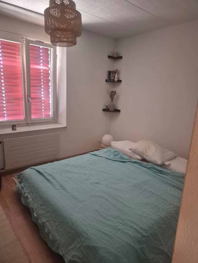 befristete 3 Zimmer Wohnung (3)