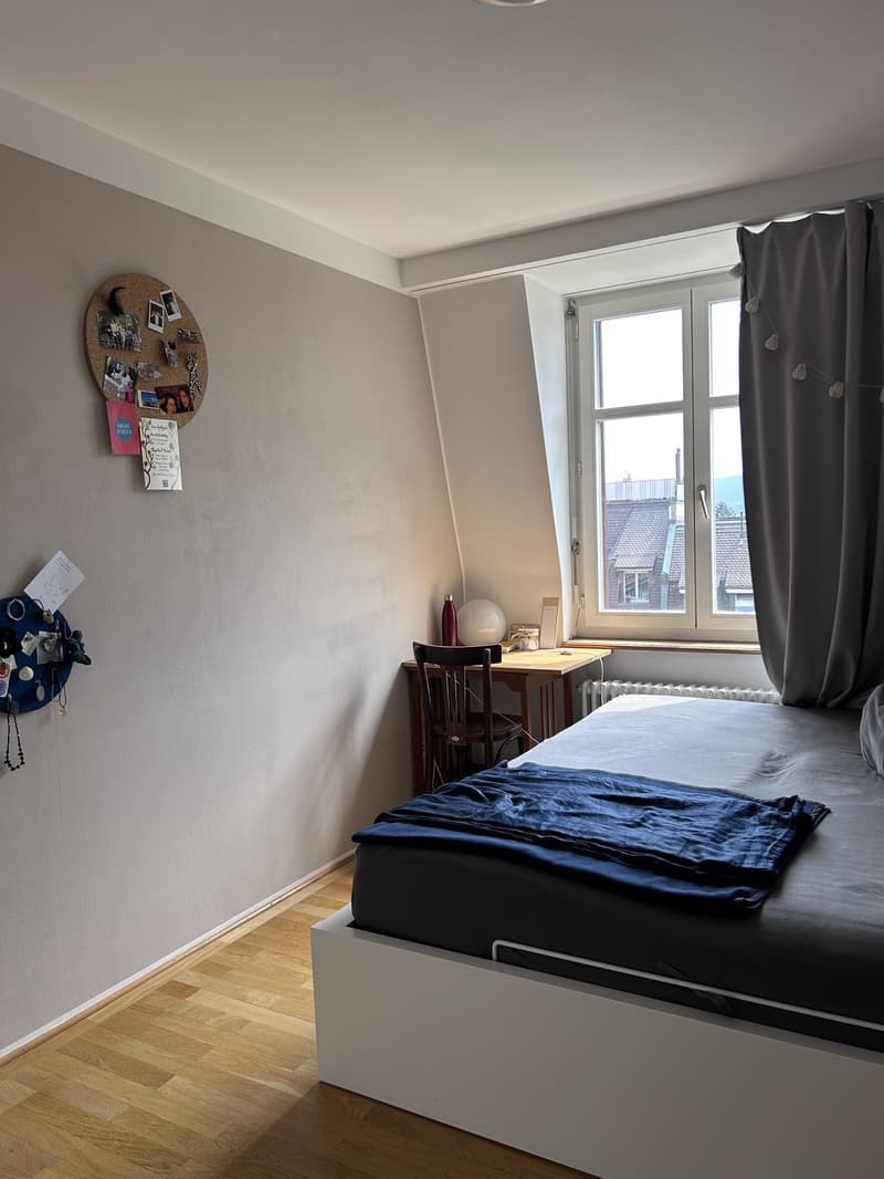 Wunderschöne WG in Wipkingen (4)