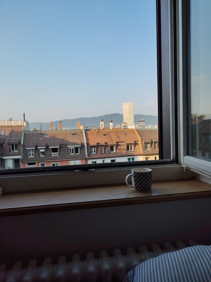 Wunderschöne WG in Wipkingen (5)
