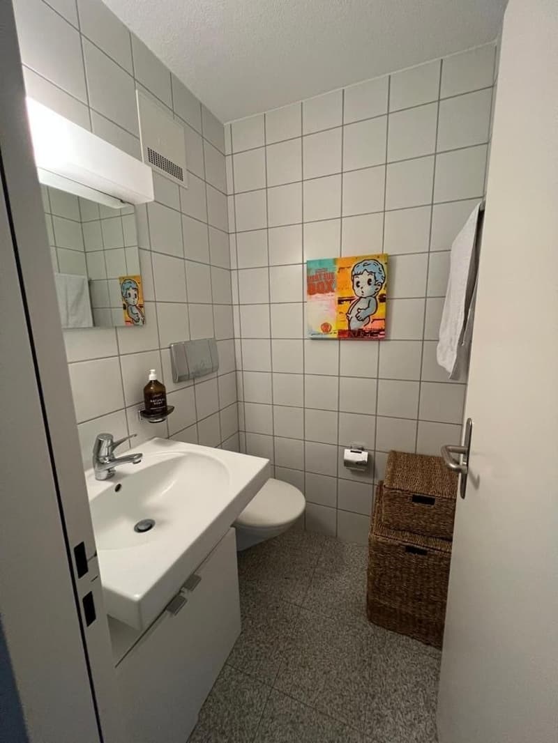 2.5 flat in Kreis 4 (2)