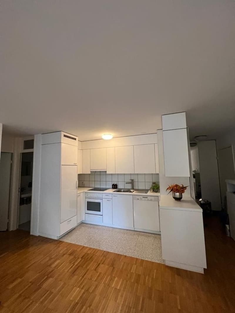 2.5 flat in Kreis 4 (5)