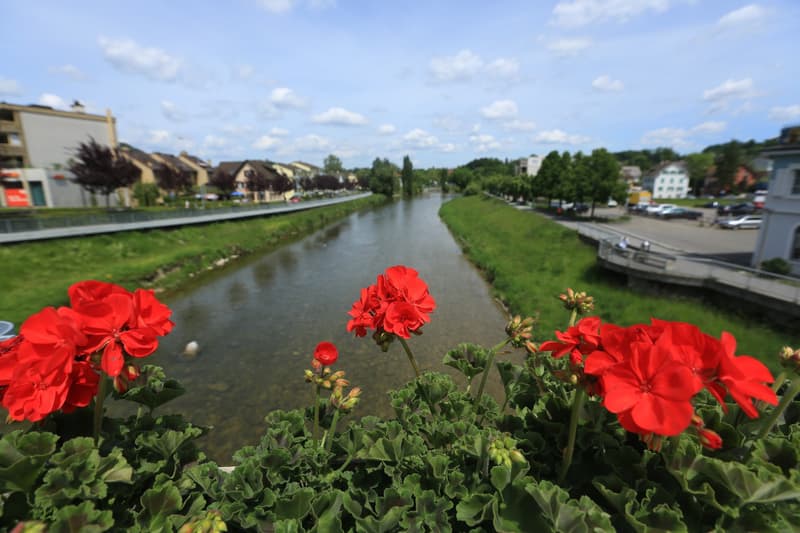A furnished WG-room in Adliswil (Zurich land) is available from 1. September 2026 (earlier dates are possible) (12)