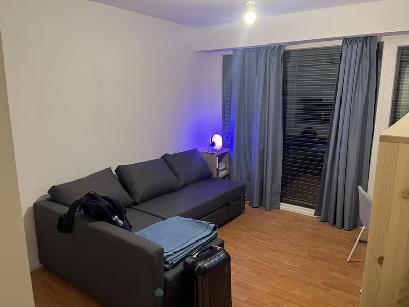 Bright studio apartment in Zurich Albisrieden, available from September 1. (7)