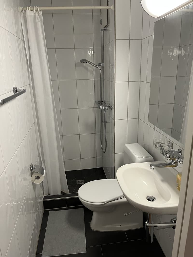 Bright studio apartment in Zurich Albisrieden, available from September 1. (5)