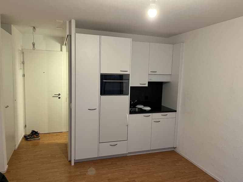 Bright studio apartment in Zurich Albisrieden, available from September 1. (1)