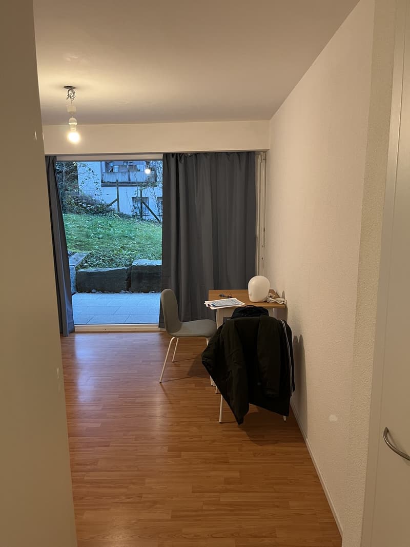 Bright studio apartment in Zurich Albisrieden, available from September 1. (4)