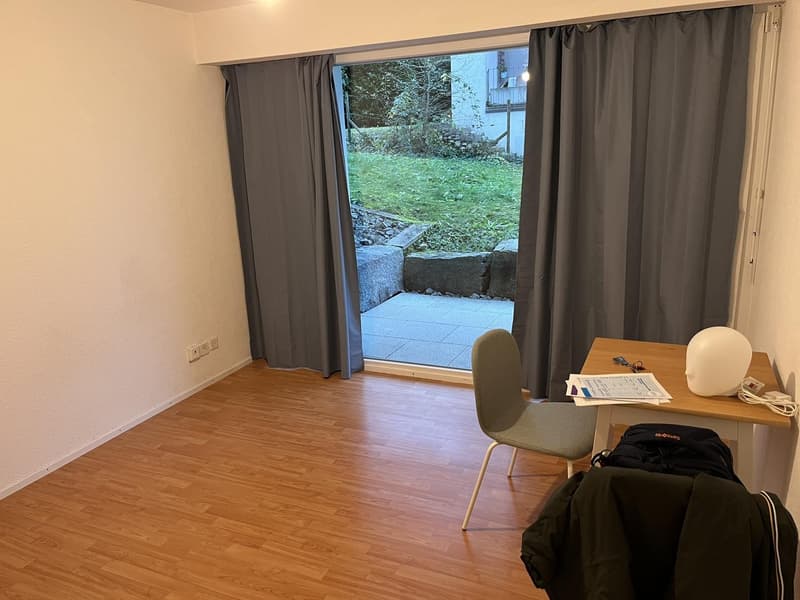 Bright studio apartment in Zurich Albisrieden, available from September 1. (3)