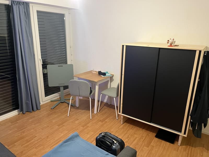 Bright studio apartment in Zurich Albisrieden, available from September 1. (6)