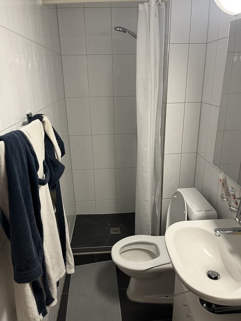 Bright studio apartment in Zurich Albisrieden, available from September 1. (9)