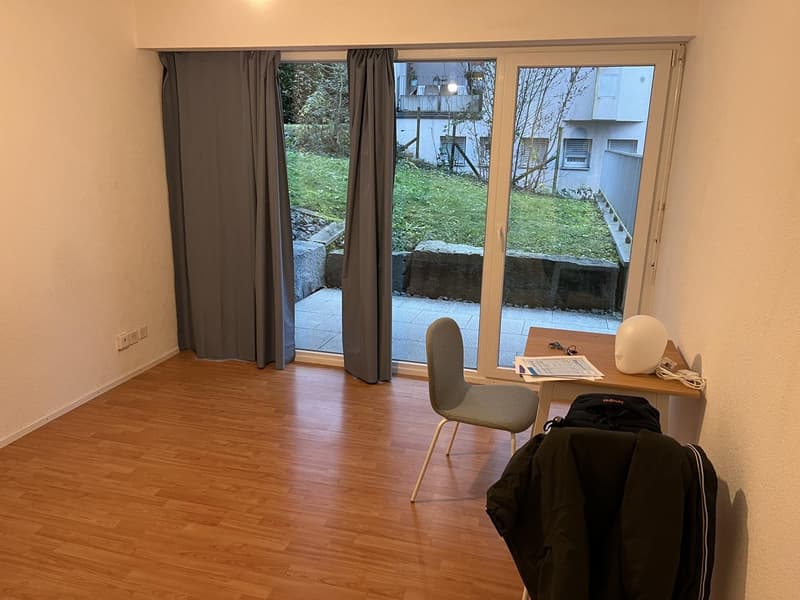 Bright studio apartment in Zurich Albisrieden, available from September 1. (2)