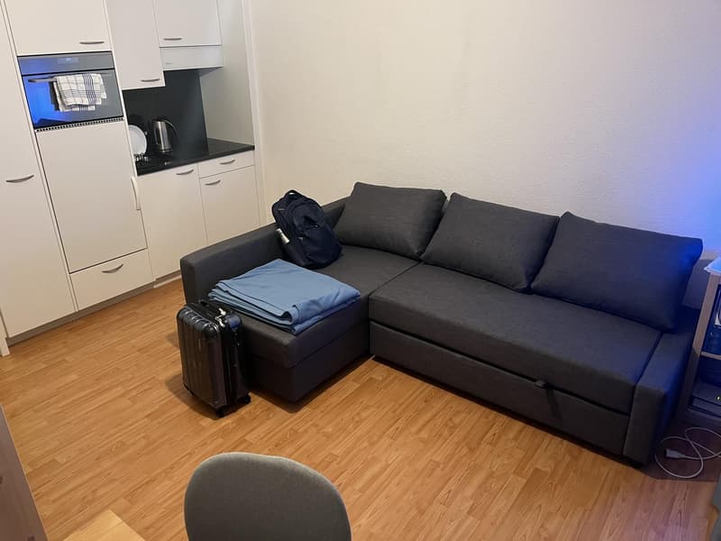Bright studio apartment in Zurich Albisrieden, available from September 1. (8)
