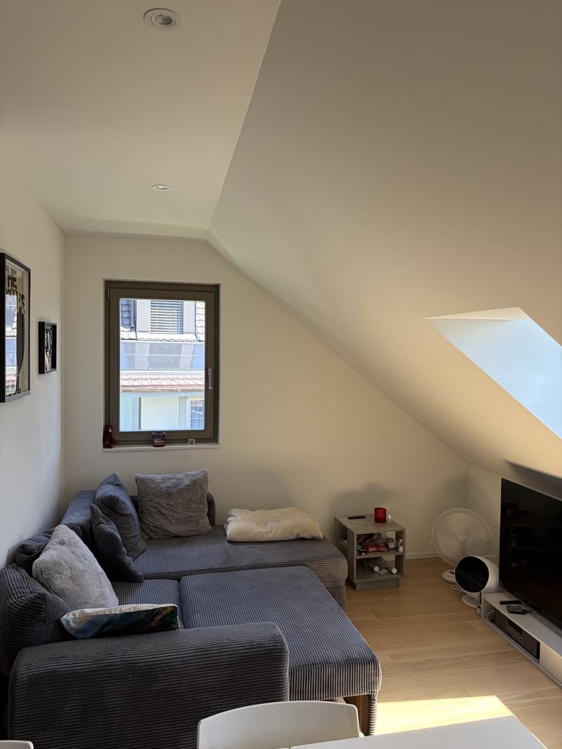 Dachwohnung In Adetswil (10)