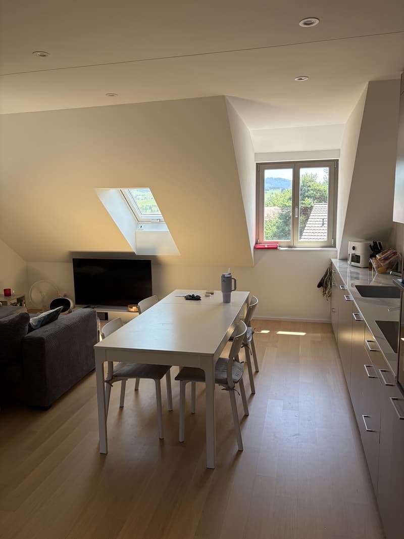 Dachwohnung In Adetswil (3)