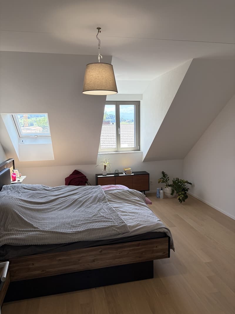 Dachwohnung In Adetswil (6)