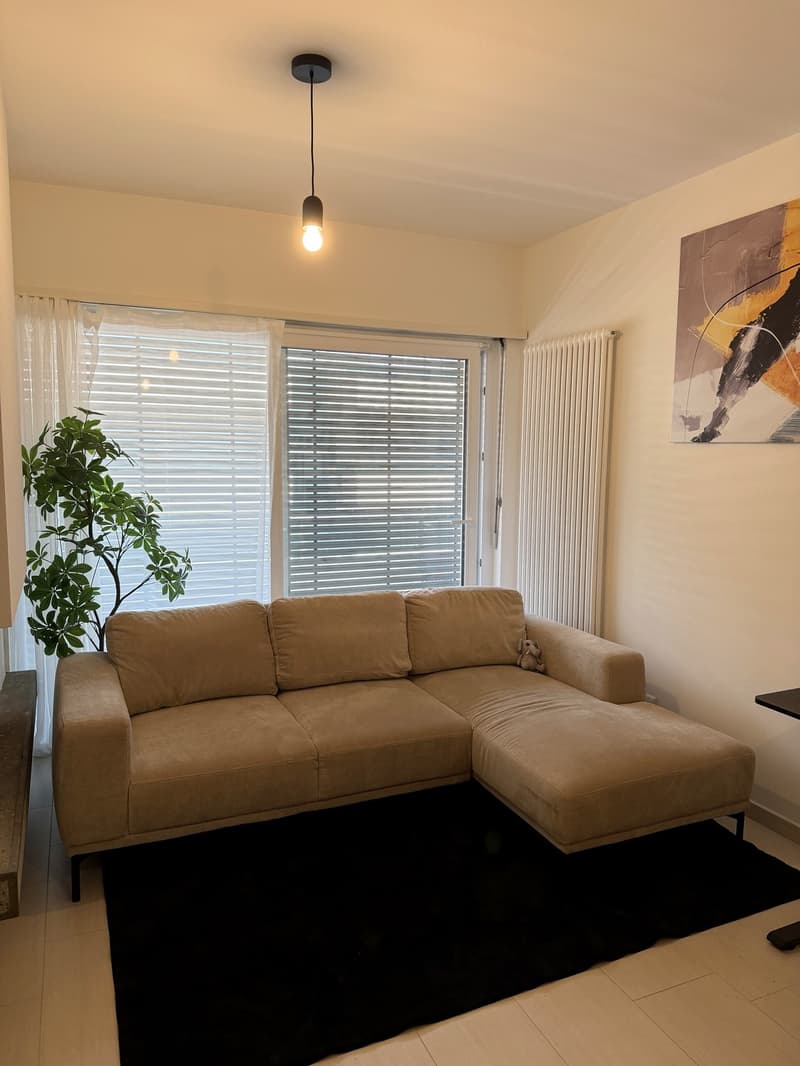 Appartamento arredato di 2.5 locali con balcone, subaffitto per 3 mesi, Lugano (9)