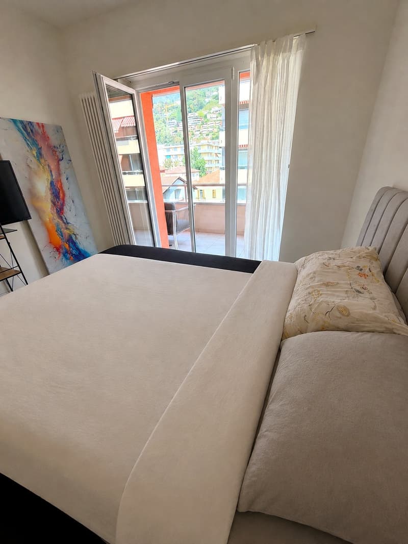 Appartamento arredato di 2.5 locali con balcone, subaffitto per 3 mesi, Lugano (4)
