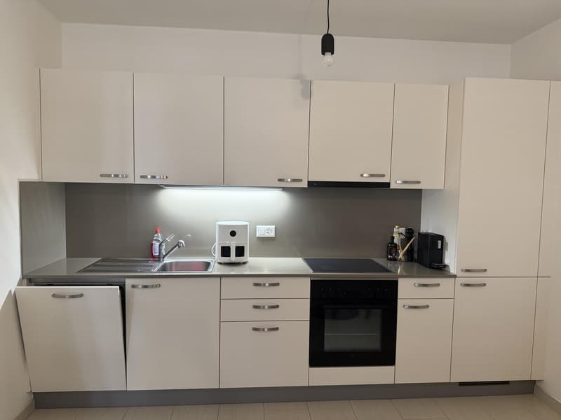 Appartamento arredato di 2.5 locali con balcone, subaffitto per 3 mesi, Lugano (3)
