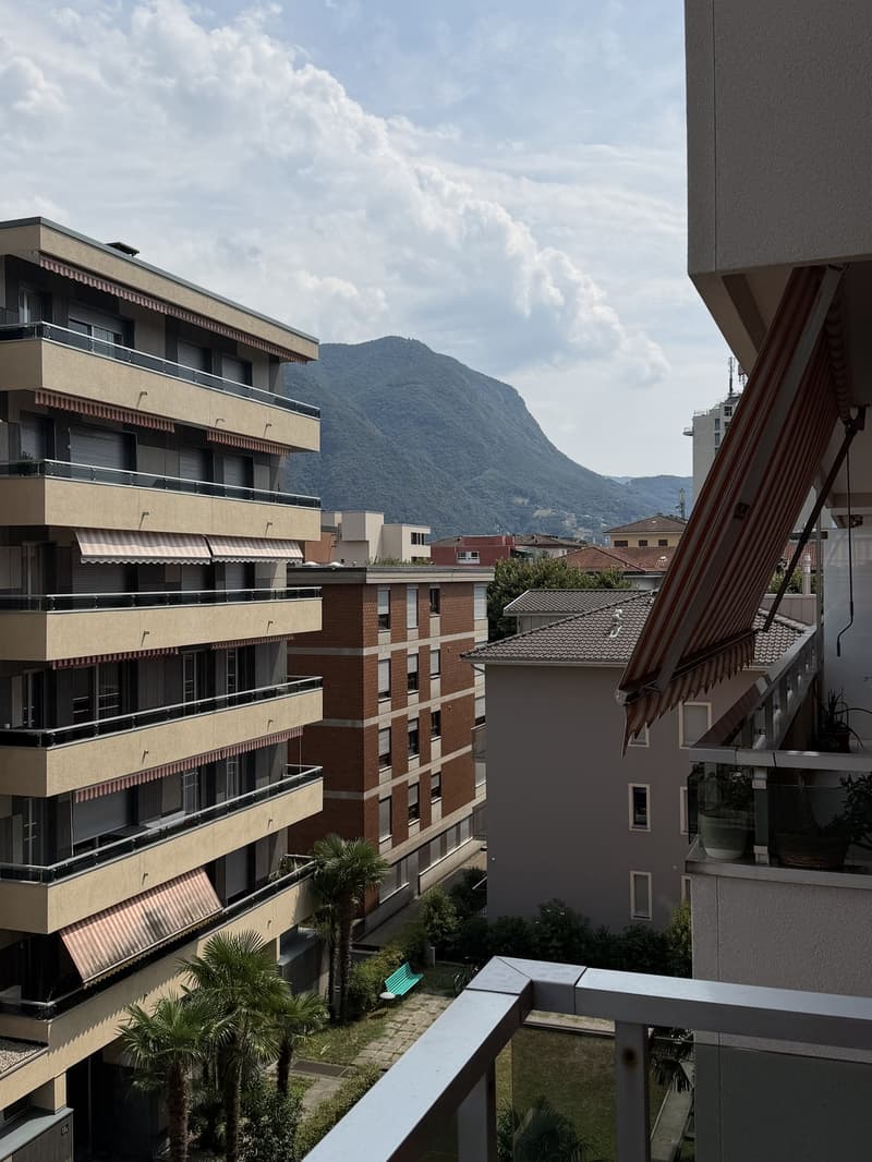 Appartamento arredato di 2.5 locali con balcone, subaffitto per 3 mesi, Lugano (12)