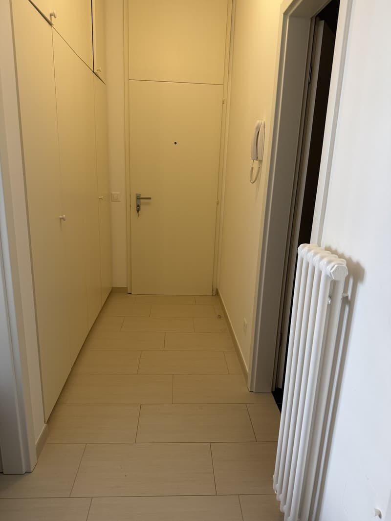 Appartamento arredato di 2.5 locali con balcone, subaffitto per 3 mesi, Lugano (13)