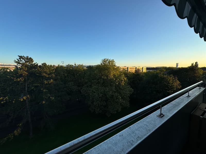 WG-Zimmer über den Dächern von Bern (8)