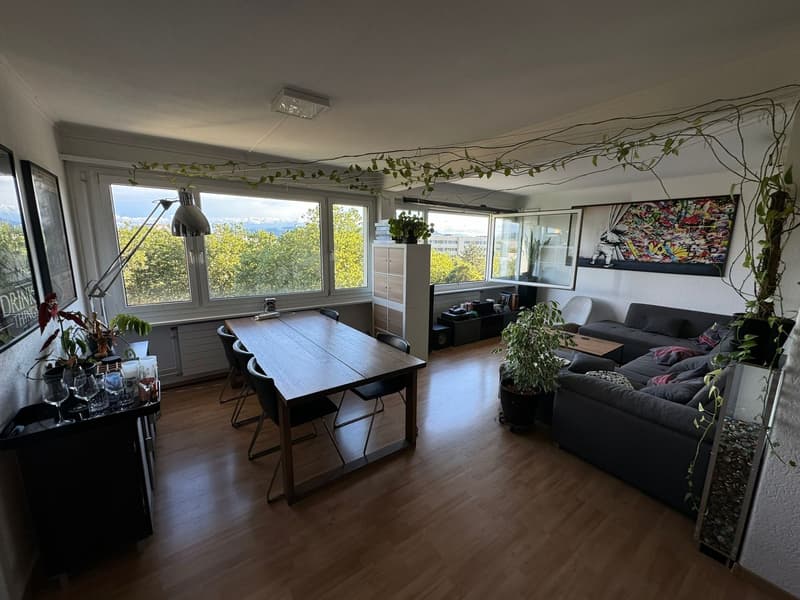 WG-Zimmer über den Dächern von Bern (1)