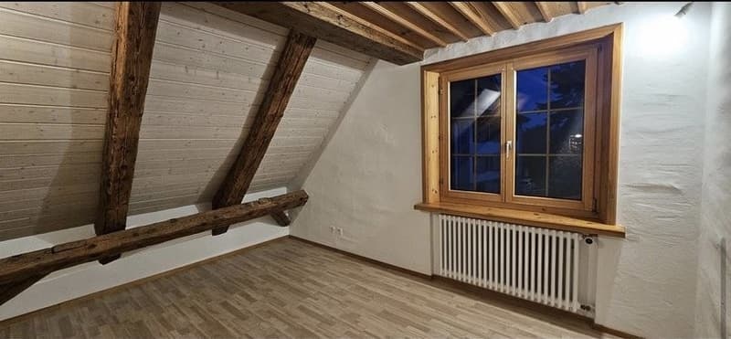 rustikale 3.5-Zimmer Wohnung mit 1 monat miete frei (12)