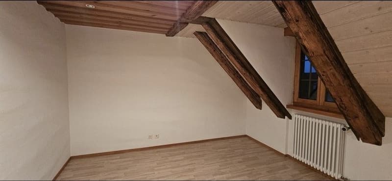 rustikale 3.5-Zimmer Wohnung mit 1 monat miete frei (1)