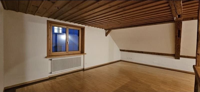 rustikale 3.5-Zimmer Wohnung mit 1 monat miete frei (4)