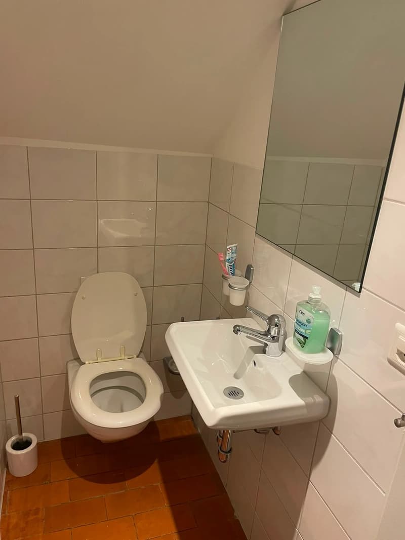 WG-Zimmer ab 01.09. in Zürich zu vermieten (5)