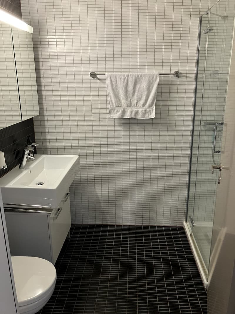 WG Zimmer, 6340 Baar (2)