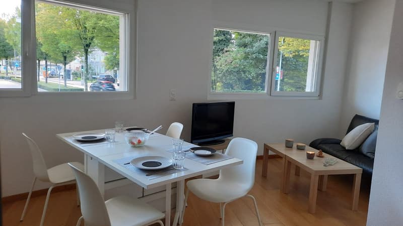 Magnifique appartement de standing de 1,5 pièces très lumineux (3)
