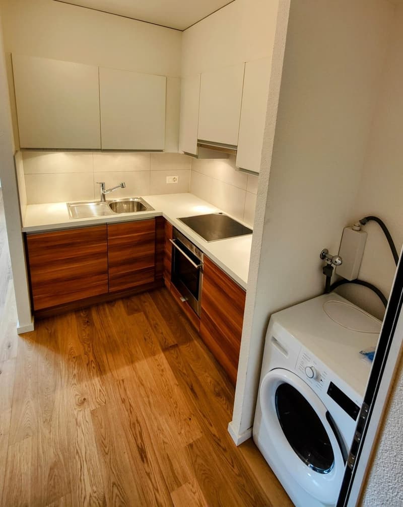 Magnifique appartement de standing de 1,5 pièces très lumineux (4)