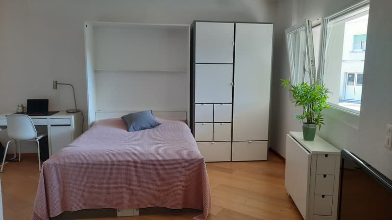 Magnifique appartement de standing de 1,5 pièces très lumineux (1)