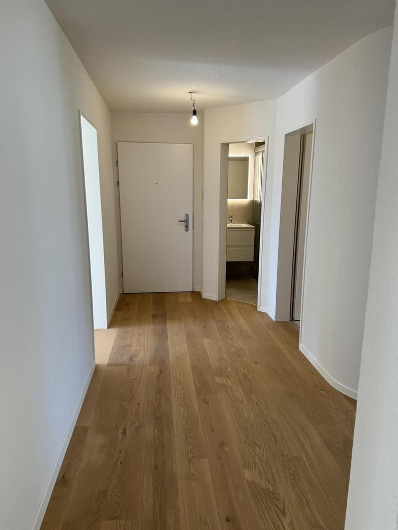 WG Zimmer Brüttisellen (4)