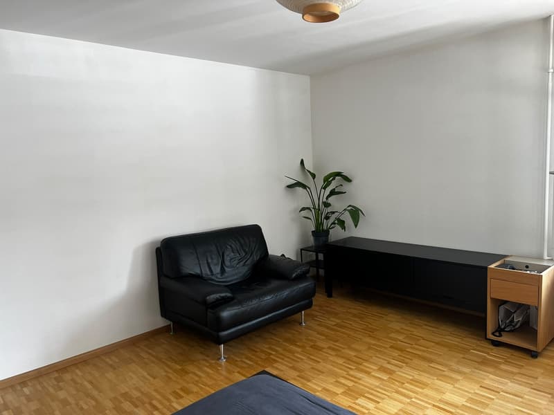 Private Room in Shared Apartment Binz, Zurich (4)