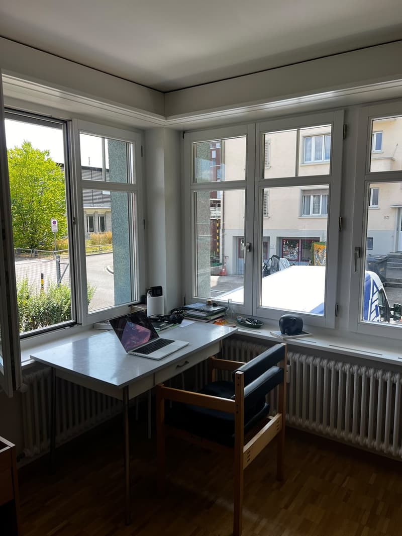 Private Room in Shared Apartment Binz, Zurich (3)