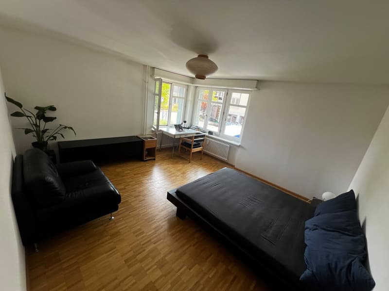 Private Room in Shared Apartment Binz, Zurich (1)