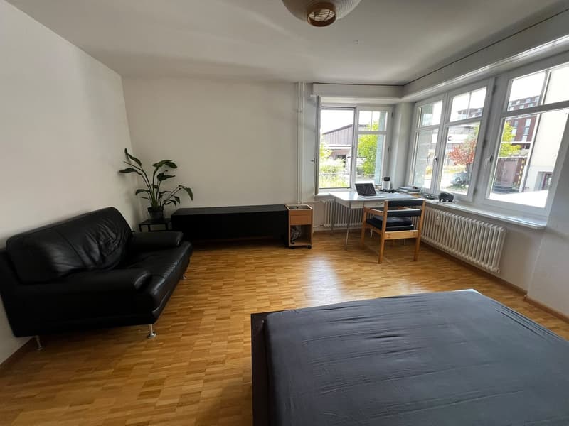 Private Room in Shared Apartment Binz, Zurich (2)