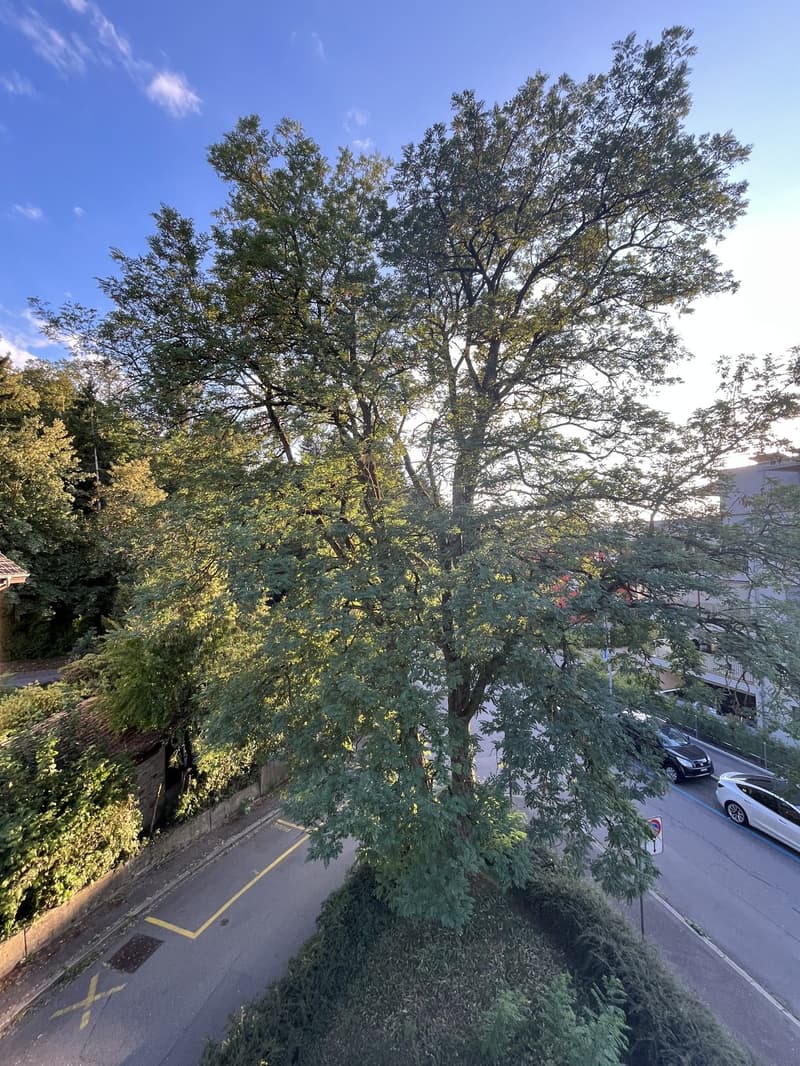 Schöne und ruhige 4 Zimmer Wohnung am Wald (11)