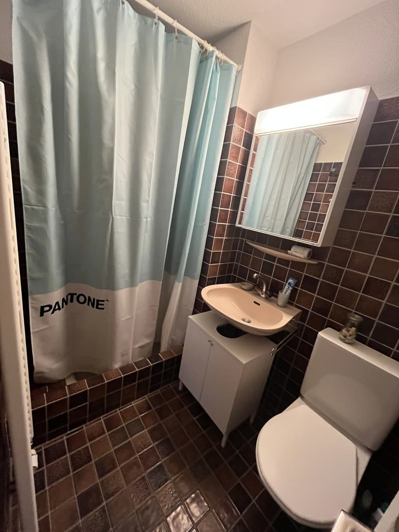 Schöne und ruhige 4 Zimmer Wohnung am Wald (4)