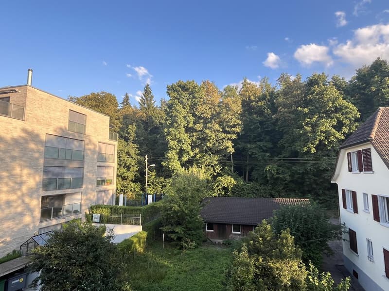 Schöne und ruhige 4 Zimmer Wohnung am Wald (8)
