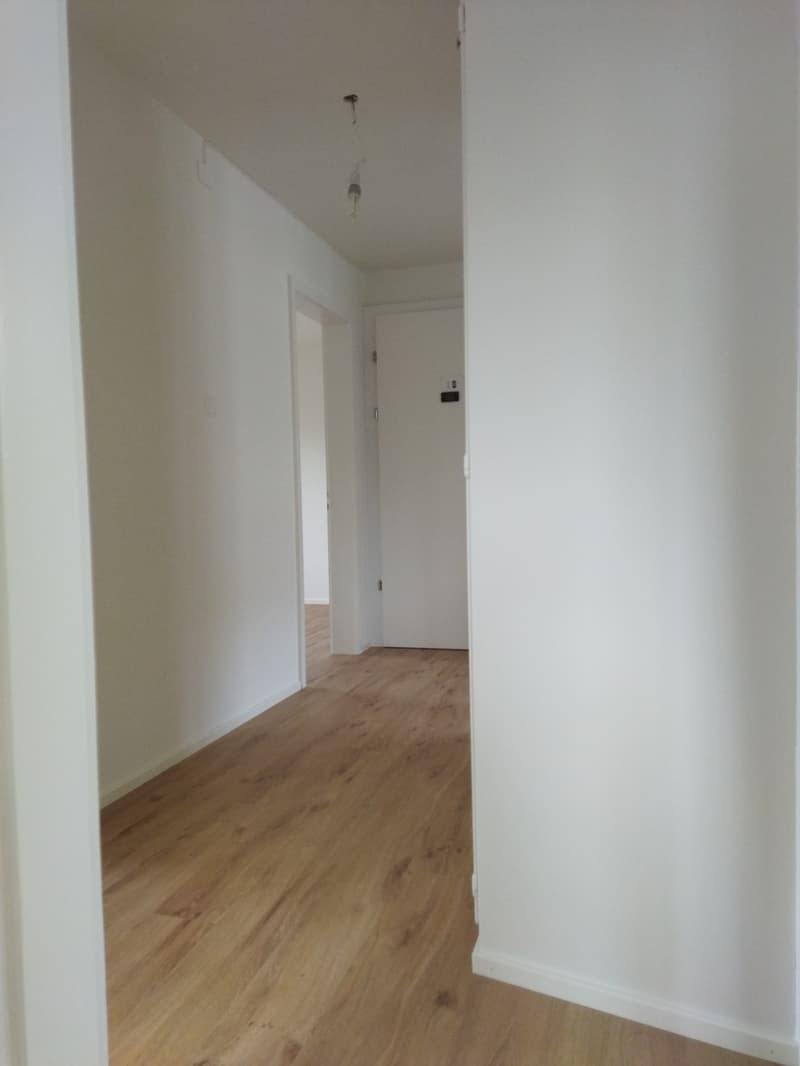 Helle geräumige 3-Zimmer Wohnung in Sissach (6)